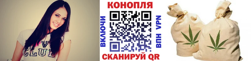Бошки марихуана семена  где купить наркоту  Зерноград 